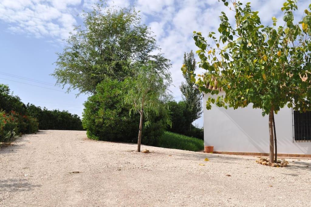 Casa Rural La Linana Cordova Esterno foto