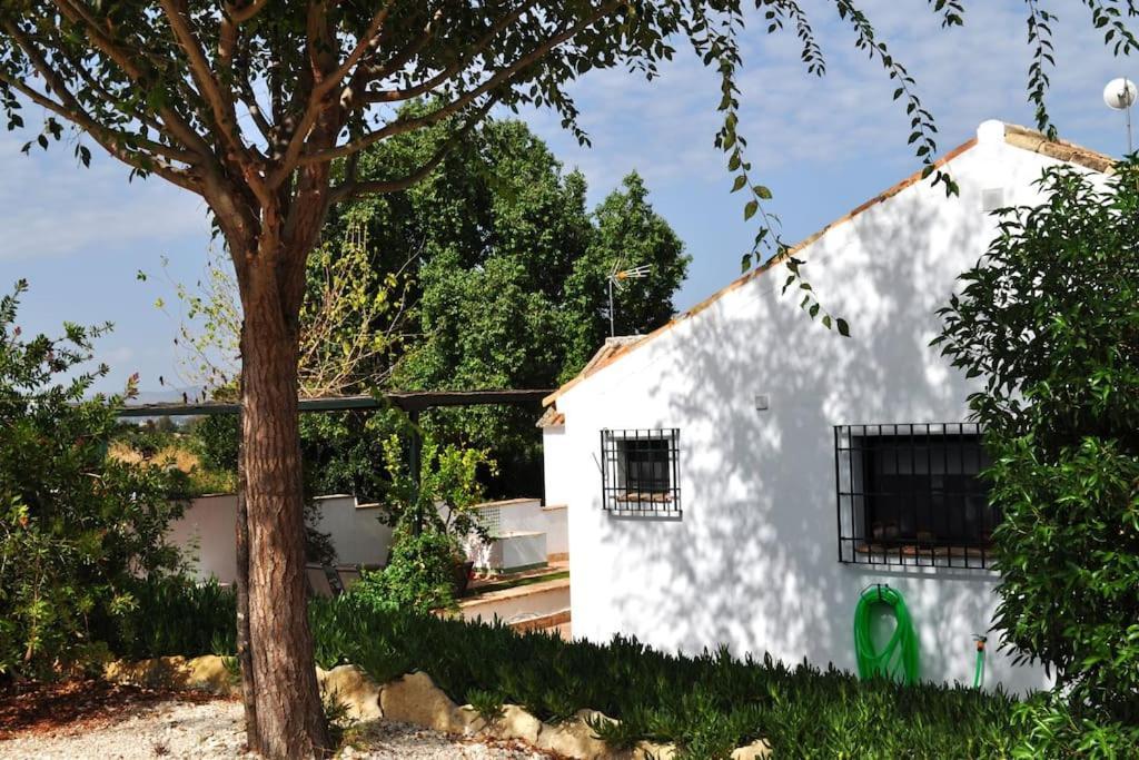 Casa Rural La Linana Cordova Esterno foto